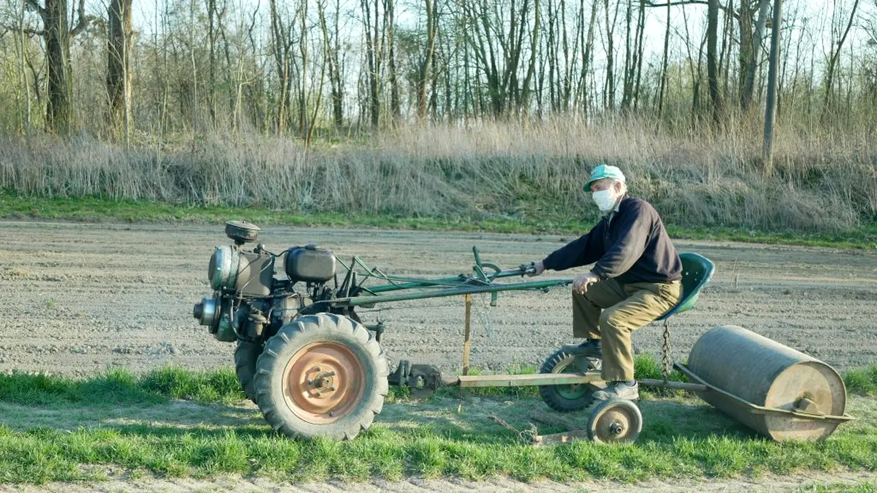 SECETA BATE CORONAVIRUSUL. Producătorii agricoli din zonele de estul și sud-estul României resimt din plin efectele lipsei de apă. Câte ferme vor adopta măsuri defensive