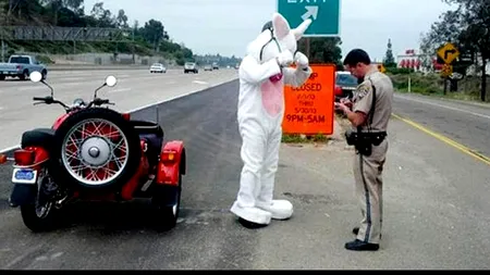 GALERIE FOTO. „Iepurașul de Paște