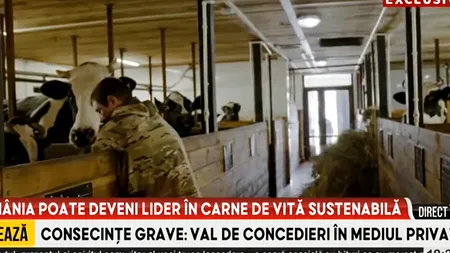 România poate deveni lider în carne de vită sustenabilă. Cererea de carne de vită din Uniunea Europeană este în creștere