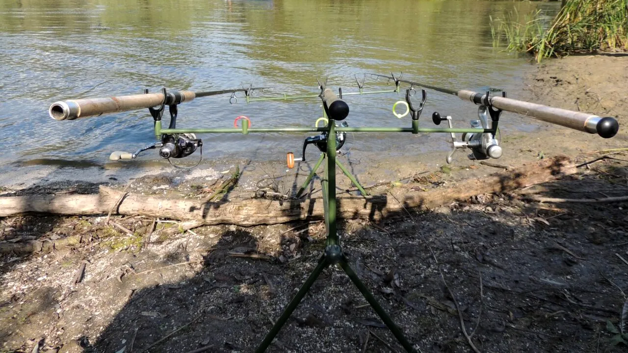 Au fost stabilite perioadele şi zonele de prohibiţie a pescuitului pentru anul 2023 în Delta Dunării. Care sunt acestea