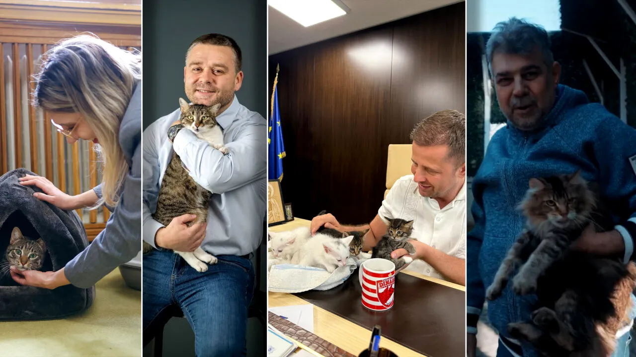Pisicuțele din politica românească. Topul felinelor care au făcut carieră în România, țara cu cei mai mulți iubitori de pisici din Europa