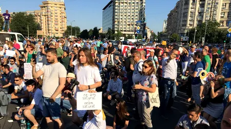 Șase protestatari din Piața Victoriei au fost ridicați de jandarmi și amendați. Carosabilul a fost eliberat