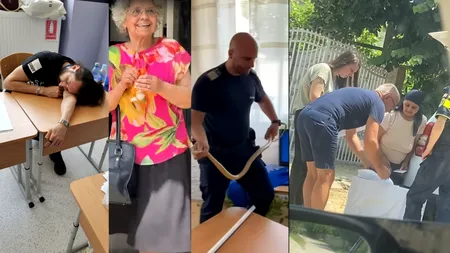 INCIDENTE la URNE. Șarpe găsit într-o secție de vot și tentative de fraudă în Dolj. La Sibiu, ștampilele de vot au fost furate, iar votarea s-a oprit