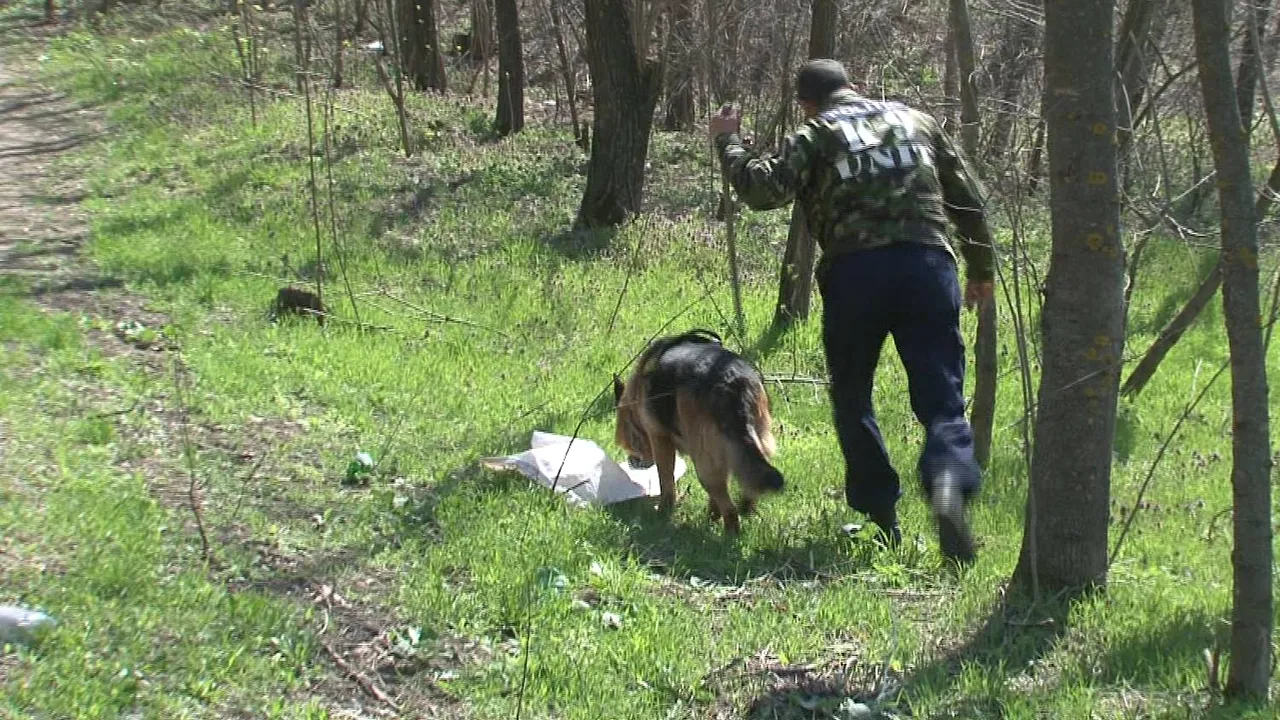 Copil surdo-mut, de șase ani, din Constanța, căutat de zeci de polițiști după ce a dispărut de acasă