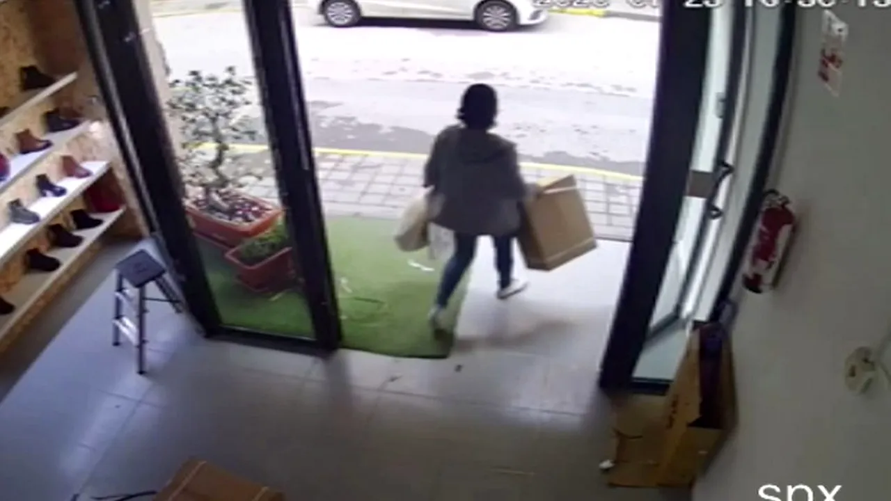 O femeie a furat zeci de jucării erotice dintr-o colecție „ultraperformantă