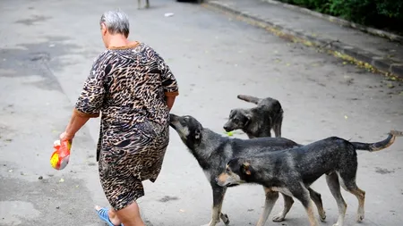 O femeie a fost mușcată de câine în Capitală