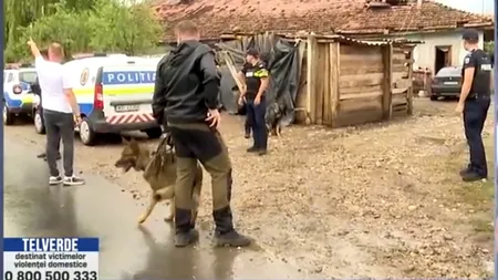 Criminalul din Mureș, văzut în județul Bihor de către doi CIOBANI. Polițiștii îl caută cu drone, camere de termoviziune și cu elicoptere