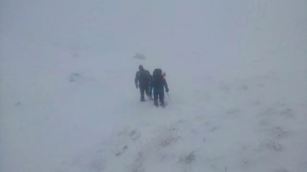 Jandarmii care îi caută pe frații dispăruți în Făgăraș au făcut o descoperire macabră: 