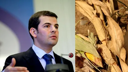 Dispută între fermieri și Ministerul Agriculturii pe declararea STĂRII DE URGENȚĂ. 