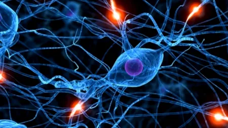 Ce gândește viitorul președinte al României