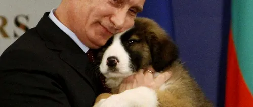 Împins în corzi, Vladimir Putin „a devenit mai periculos. „Adevăratele probleme de abia încep pentru Rusia