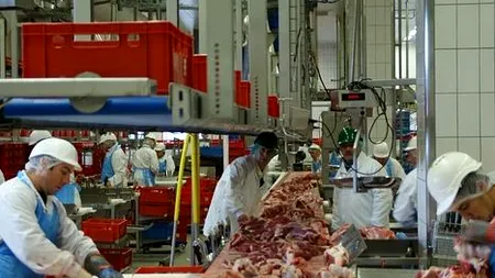 EXPLICAȚII. Patronul abatorului din Germania unde s-au îmbolnăvit 200 de angajaţi români: „Sunt un popor sociabil, le place să sărbătorească împreună“