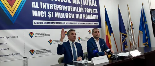 DOMENII CU MIZĂ ÎN VREME DE CRIZĂ. Antreprenor: „Numai din turism sau din agricultură România ar putea să se ridice suficient de mult”