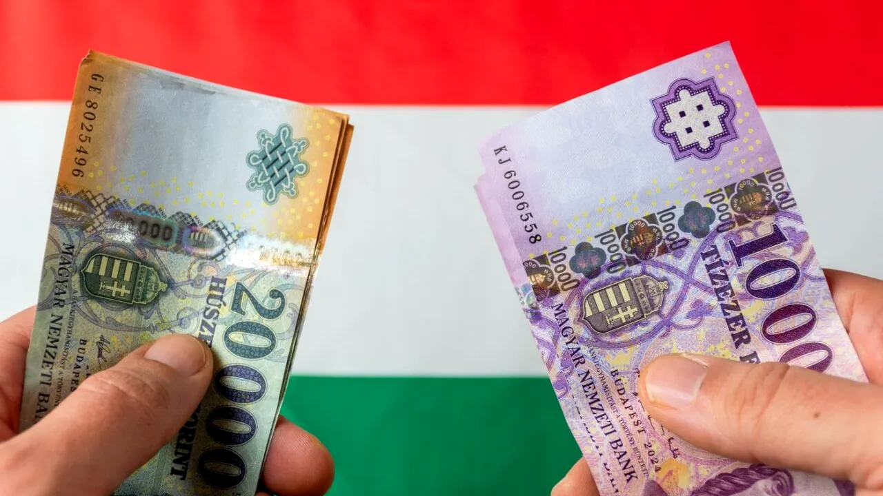 Directorul general al celei mai mari bănci din Ungaria cere adoptarea EURO și PREDICTIBILITATE în politicile economice