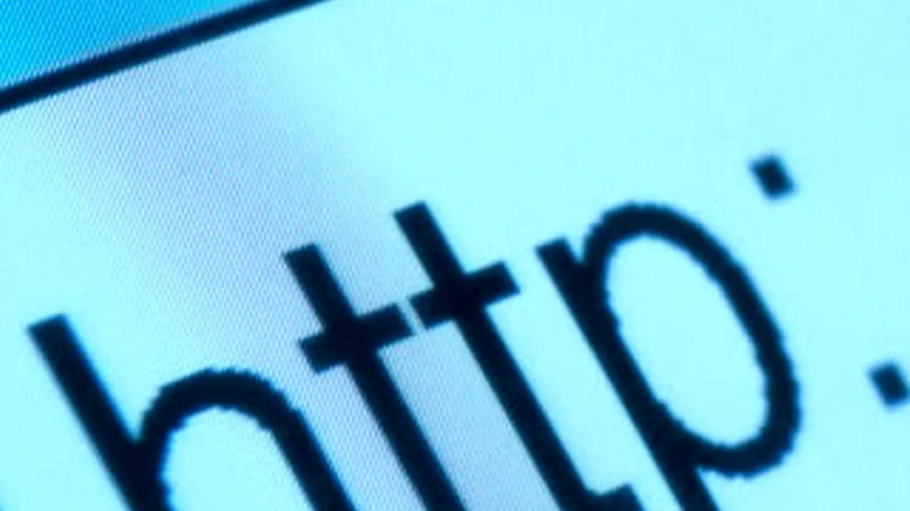 Proprietarii de domenii 