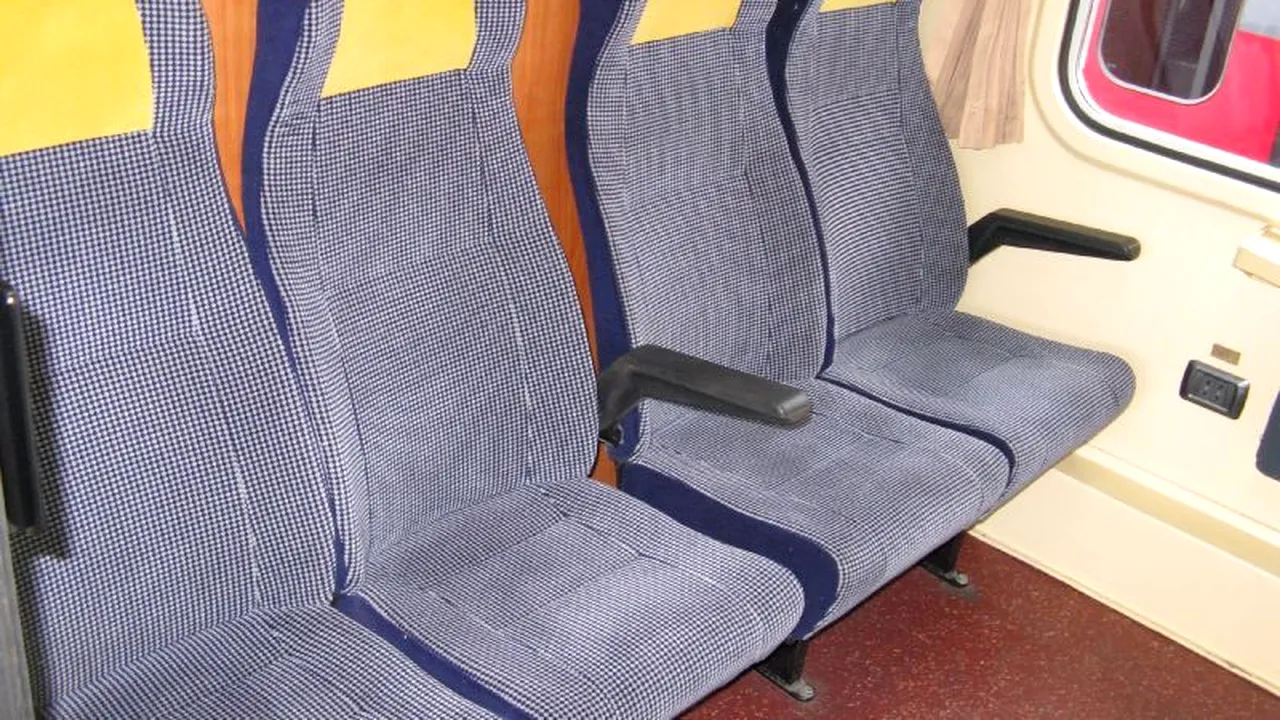 Un șarpe a fost descoperit în compartimentul unui tren ceh