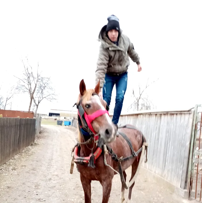 Cioban și creator de conținut, Nadin de la Desafio s-a îmbogățit datorită lui Vladimir Putin. Adevărul despre visătorul de la Pro TV