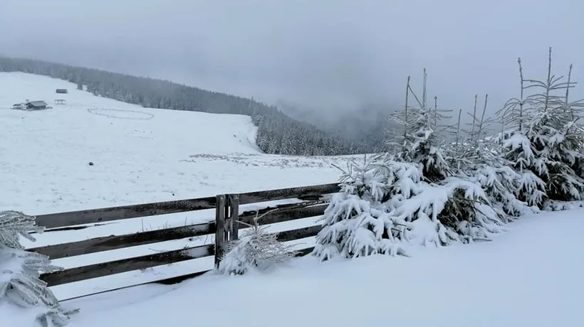 VIDEO. S-a întors iarna! Imagini incredibile suprinse la Cabana Giumalău, din nordul țării