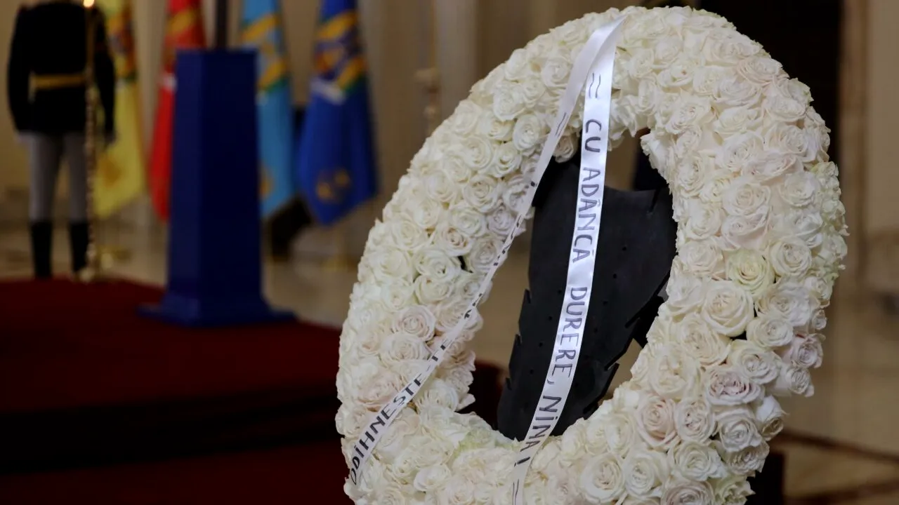 Nina Iliescu, PRIMUL mesaj public: 