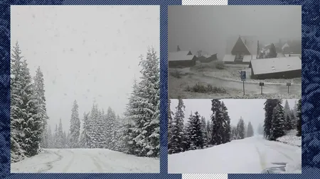 GALERIE FOTO. Primele ninsori în România. Straturi groase de zăpadă după ce a nins 8 ore fără încetare