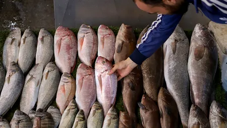 Care este ȚARA în care poți cumpăra doar două kilograme de pește sau jumătate de cutie de ouă cu salariul minim