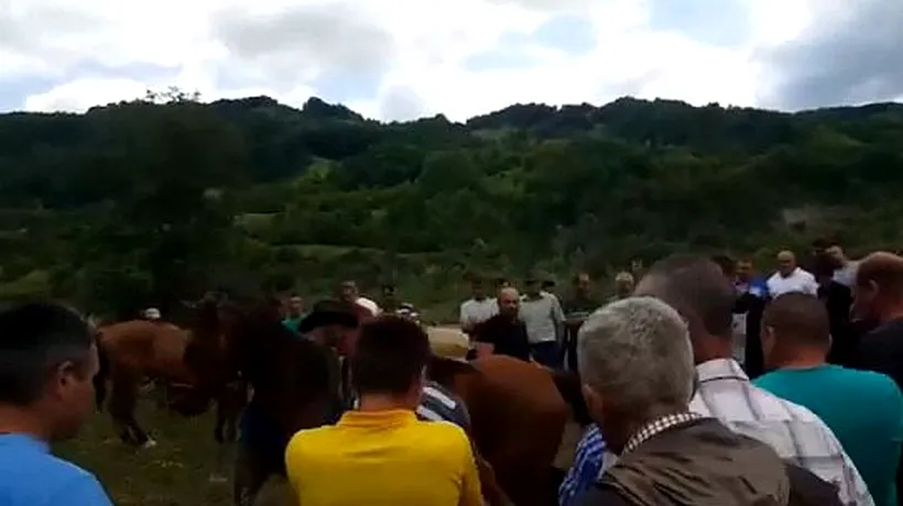 Și-au schingiut caii la un bâlci pentru a-și impresiona clienții. Martor: Biciuiau calul și pe o parte, și pe cealaltă. Au plecat polițiștii și au început iar - VIDEO