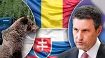 Tanczos Barna anunță că 12 state UE sprijină inițiativa României și a Slovaciei de reglementare a statutului ursului brun