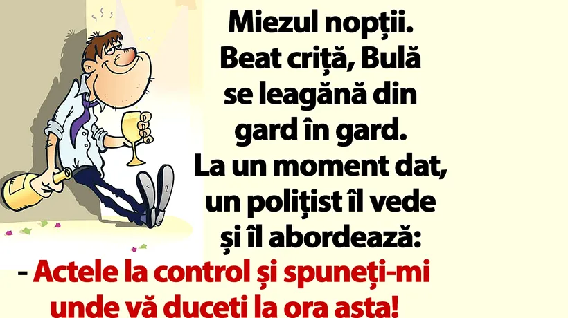 BANC | Miezul nopții. Beat criță, Bulă se leagănă din gard în gard