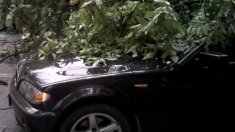 Patru autoturisme, avariate de un copac doborât de vânt în Cluj