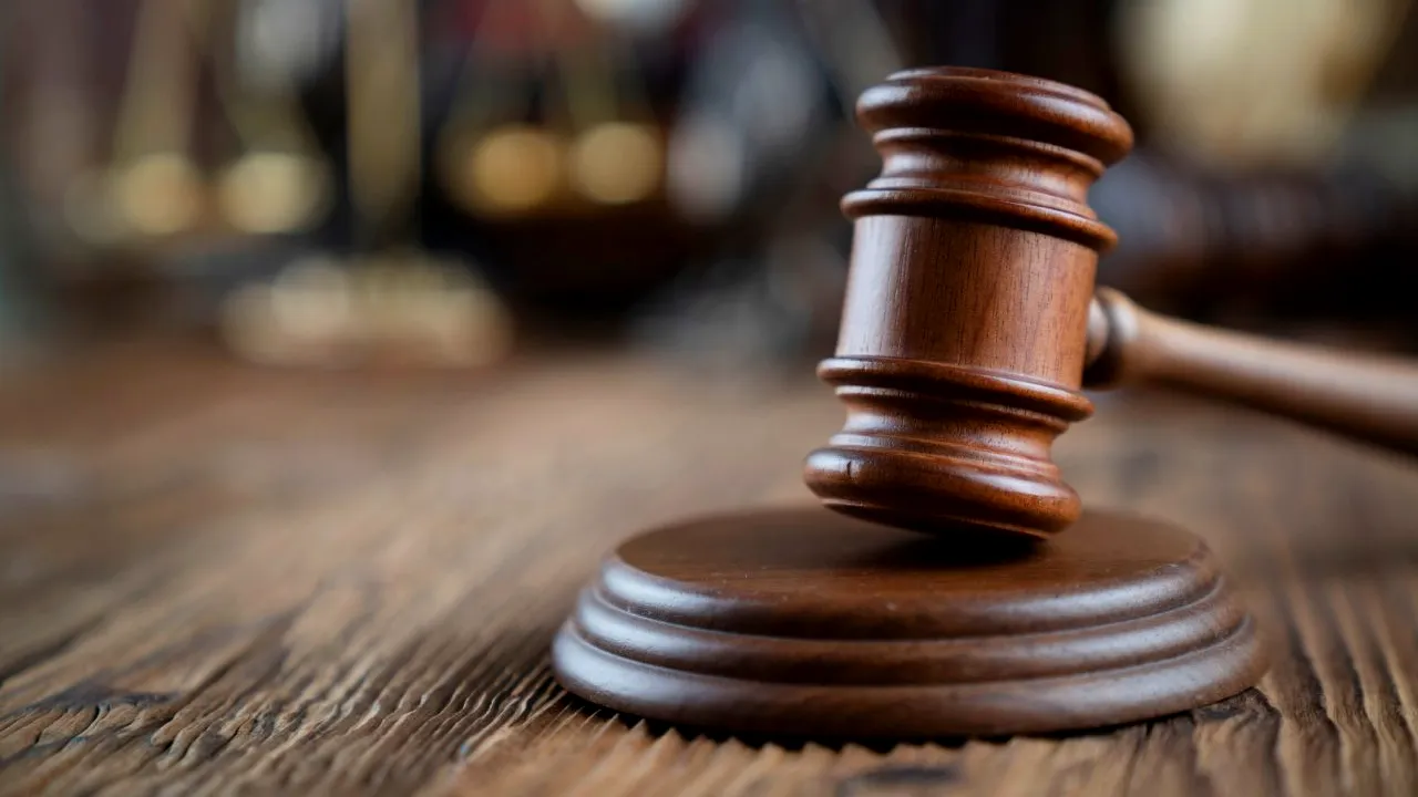 Cei patru bărbați care au agresat doi jurnaliști și un activist de mediu în Suceava au fost puși sub control judiciar