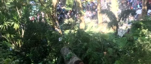 Tragedie în Portugalia. Un stejar masiv s-a prăbușit peste participanții la o slujbă religioasă: cel puțin 11 oameni au murit și 35 sunt răniți. VIDEO
