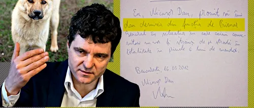 VIDEO: Nicușor Dan promitea, în 2012, la GÂNDUL LIVE, că va demisiona din funcția de primar general dacă nu va rezolva, în primele șase luni de mandat, problema maidanezilor