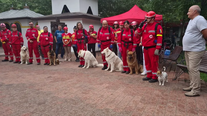 Câinii SALVATORI din Craiova au plecat în Turcia: „Toți sunt antrenați pentru astfel de misiuni”