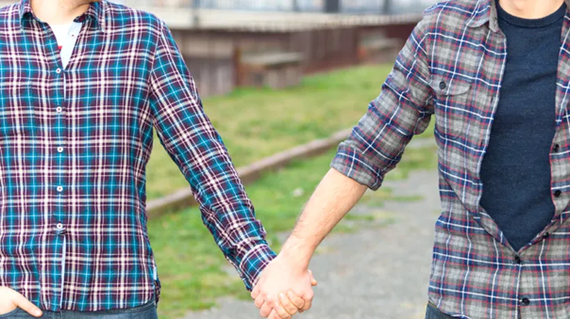 Șapte cupluri gay și Asociația ACCEPT au dat în judecată România la CEDO