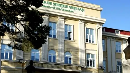 Ce spun colegii profesorului universitar din Iași, acuzat de mai multe studente, de ani buni, de comportamente nepotrivite cu tentă sexuală