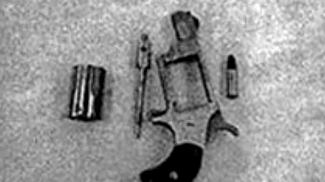 FOTO. Infractoarea care uimit polițiștii din SUA. Unde a ascuns arma pe care o deținea