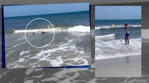 Panică pe plajă! 4 rechini, filmați la doar câțiva metri de mal, aproape de un grup de copii care se jucau în apă