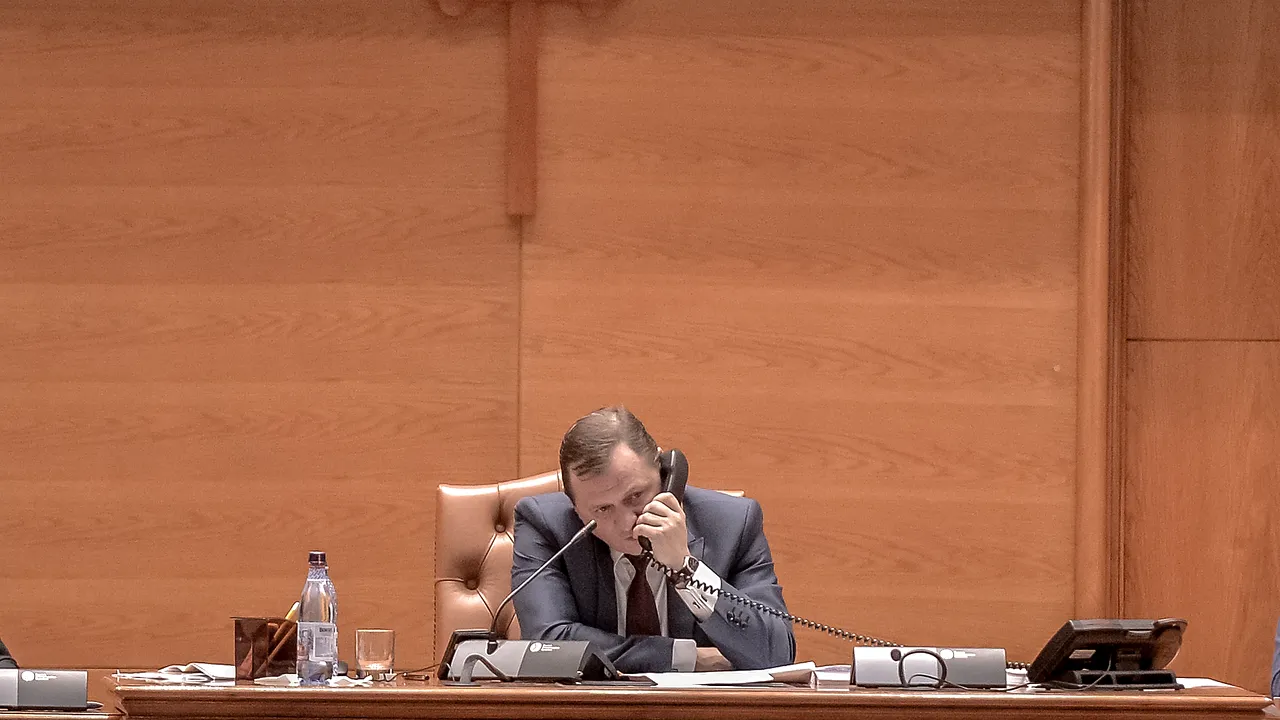 Plen reunit pentru conducerea SIE. DRAGNEA: VLASE are susținere universală