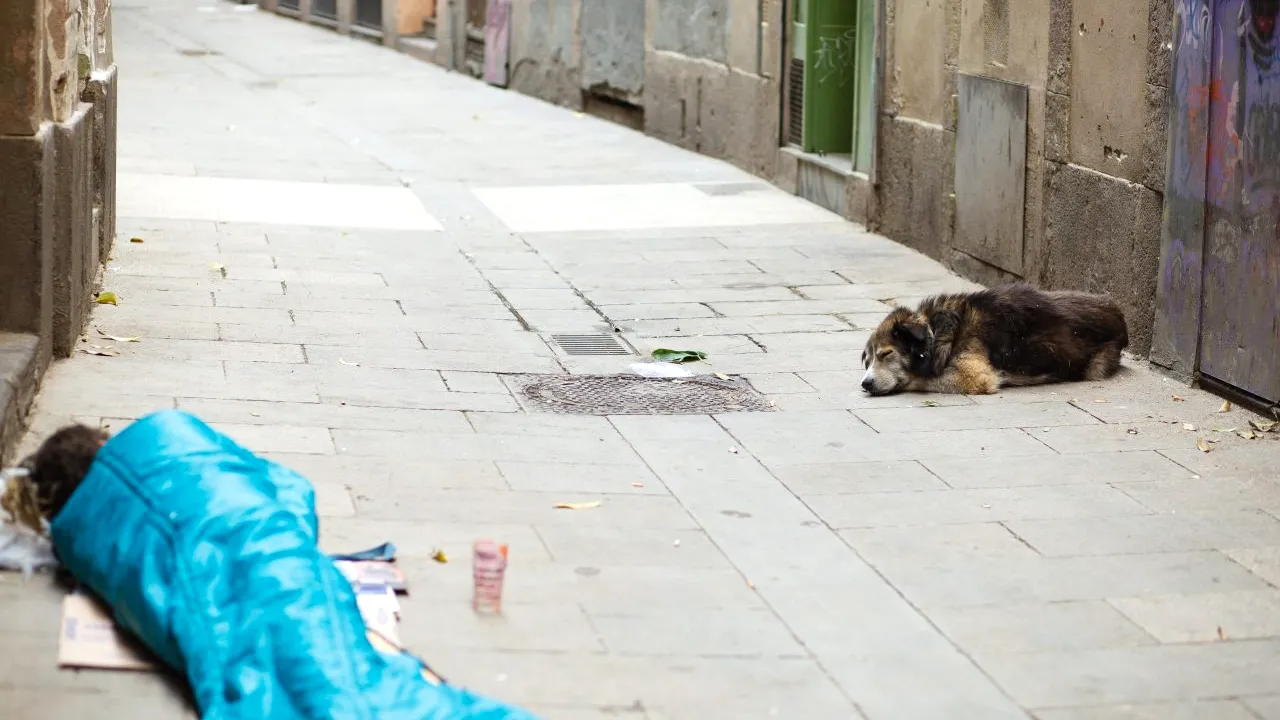 Avertismentul dur al unui cunoscut economist: „Vine o criză fără precedent. Românii vor muri de foame și de frig”