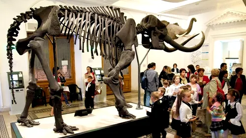 Copiii, așteptați să petreacă o noapte printre cele mai mari mamifere de pe Pământ, la Muzeul Antipa