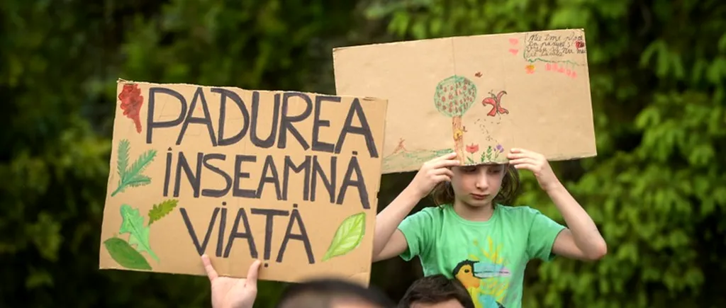 Aproximativ 300 de persoane au protestat în București față de despăduririle abuzive. Toate partidele ne-au tăiat pădurile