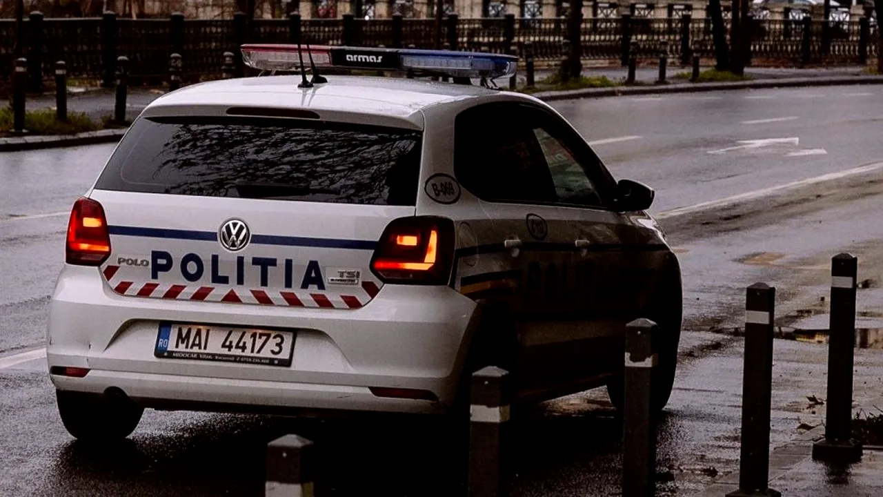 Scene ca în filme într-un bar: Doi polițiști au fost alergați cu o coasă de un bărbat, iar sora sa a vrut să incendieze autospeciala de poliţie: „Dă foc la maşină!“