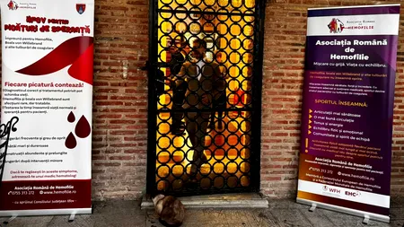 (P) În 2025, Consiliul Judeţean Ilfov a alocat 250.000 de lei pentru finanţarea proiectelor destinate persoanelor cu hemofilie