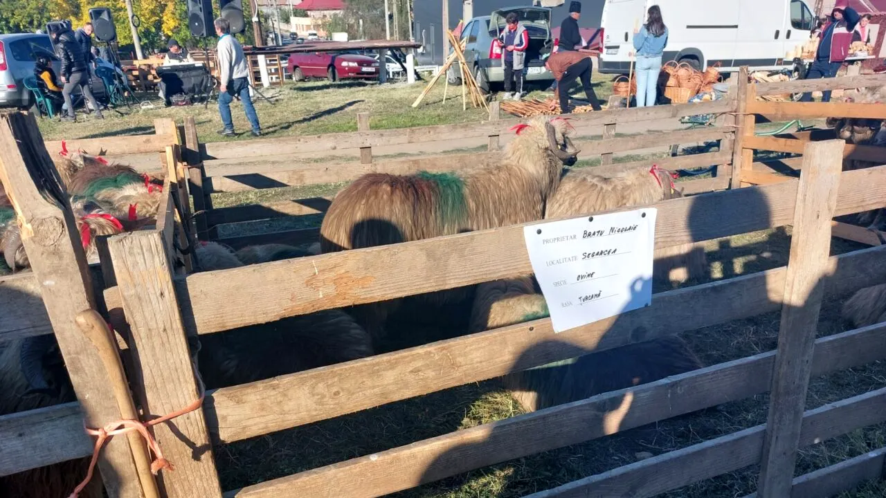 Zeci de milioane de euro pentru stațiile de biogaz. Cum ar putea reduce acestea facturile la energie ale fermierilor la jumătate