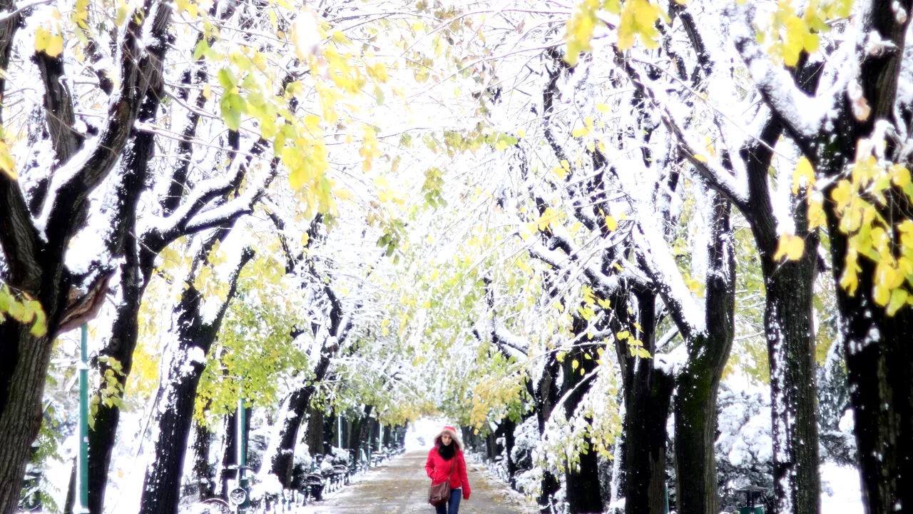 Prognoza ANM în România. VREMEA în următoarele 2 săptămâni. Zonele în care temperaturile vor ajunge la 12-13 grade