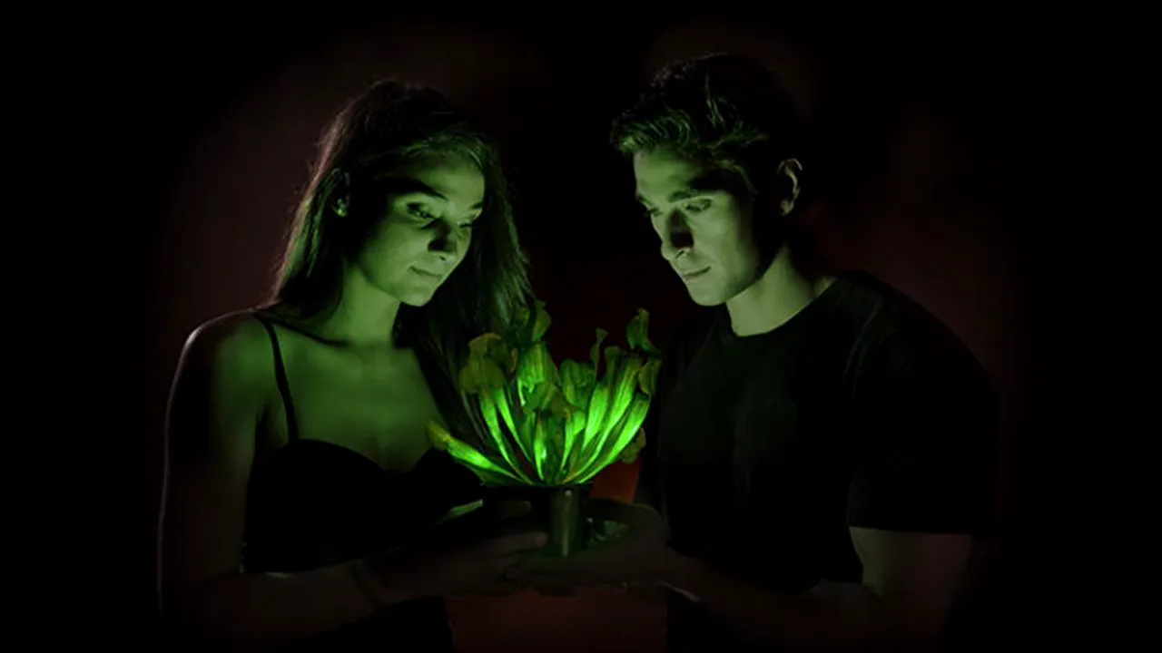 La început toți au spus că sunt niște aberații. Ideile trăsnite care le-au adus însă miliarde întreprinzătorilor