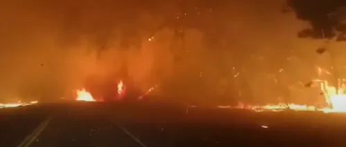 Incendiile au făcut ravagii în California. Guvernul solicită ajutorul statelor vecine (VIDEO)