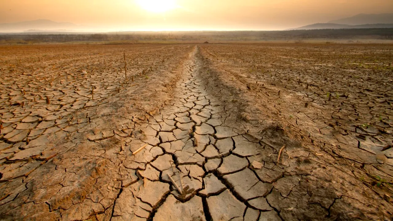 Mircea Fechet (PNL), ministrul Mediului: „În 50 ani, sudul României va fi complet deșertificat”