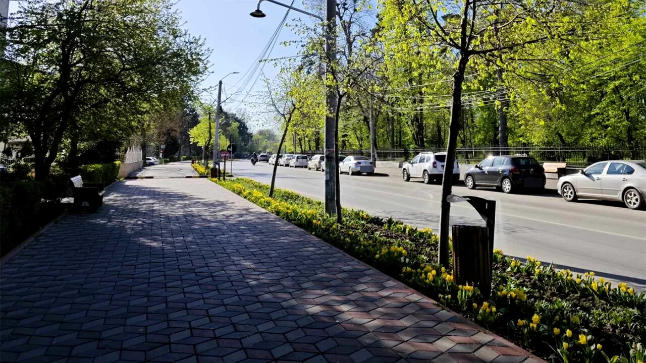 Parcare de 10.910 lei în BOTOȘANI. Cine este șoferul care a plătit această sumă istorică