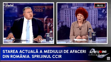 Ce impact are energia asupra competitivității companiilor? Mihai Daraban: „E devastator! Statul are profit de 2 miliarde de euro pe care îi toacă”